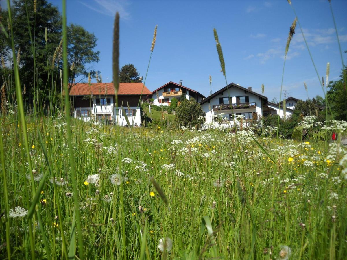 Im- Oberland - Berg - Koenigscard Leilighet Bad Kohlgrub Eksteriør bilde