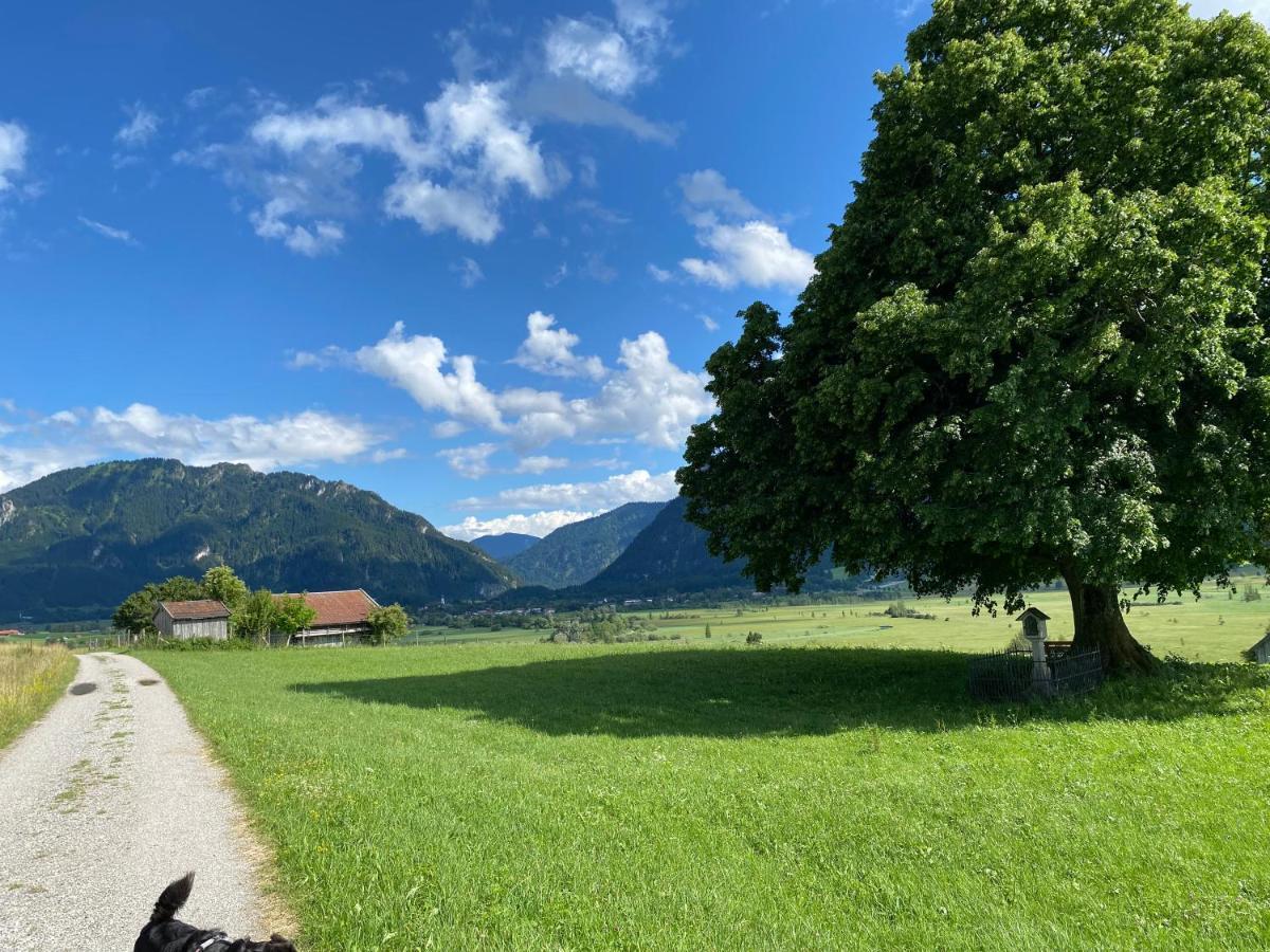 Im- Oberland - Berg - Koenigscard Leilighet Bad Kohlgrub Eksteriør bilde