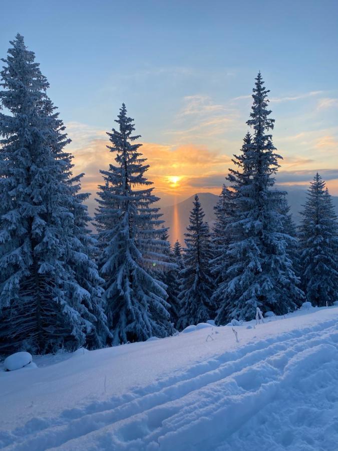 Im- Oberland - Berg - Koenigscard Leilighet Bad Kohlgrub Eksteriør bilde
