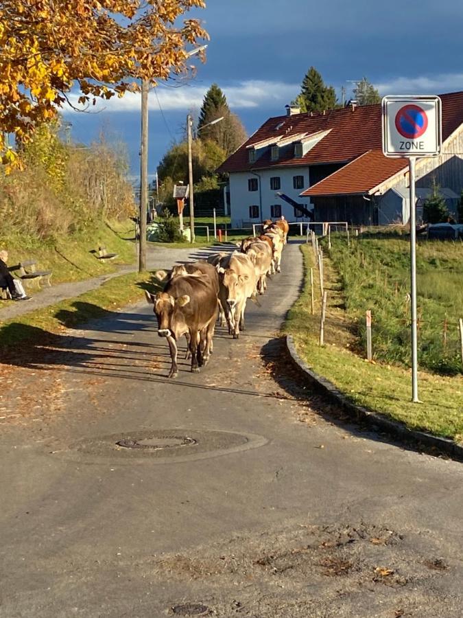 Im- Oberland - Berg - Koenigscard Leilighet Bad Kohlgrub Eksteriør bilde